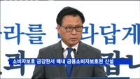 소비자보호 금감원서 떼내 금융소비자보호원 신설