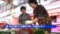6월 생산자물가 4개월째 하락…전월비0.4%↓