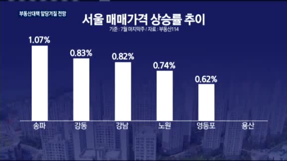 치솟는 아파트값에 이르면 8월초 정부대책 가능성도?