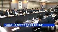 "금융권 규제 회피 목적 신용대출 집중 점검"