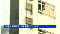 부동산 규제에도 소형 물량 인기 '여전'