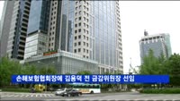 손해보험협회장에 김용덕 전 금감위원장 선임