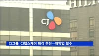 CJ그룹, CJ헬스케어 매각 추진…제약사업 철수