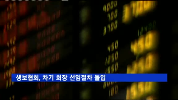 생보협회, 차기 회장 선임절차 돌입