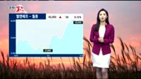 [종목의 발견] 엘앤에프(066970)