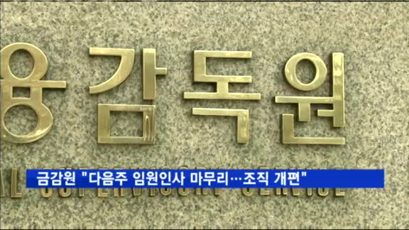 최흥식 금감원장 "다음주 임원인사 마무리…연내 조직 개편"