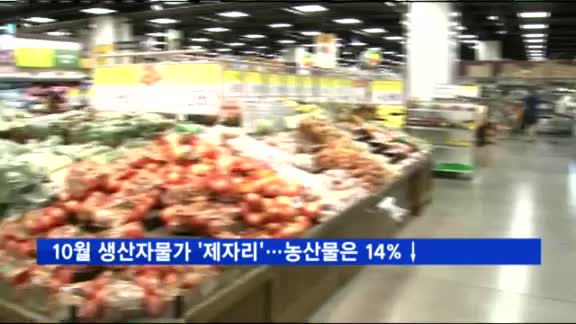 10월 생산자물가 '제자리'…농산물은 14% '급락'