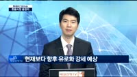 [투데이 잇(it)슈]환율시장 총정리…원화 강세장 투자 전략은?