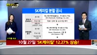 [전자공시 100% 활용법]시노펙스,SK케미칼,현대리바트 리뷰