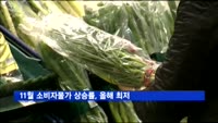 11월 소비자물가 상승률, 올해 최저