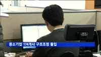중소기업 174개사 구조조정 돌입…113개사 '퇴출' 위기
