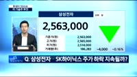 [투데이 잇(it)슈] 미국 기술주 부진…증시 도미노 영향은?