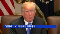 '법인세 21%' 미 감세안 의회 통과