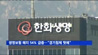 생명보험 해지 5년새 54% 급증…"경기침체 탓에"