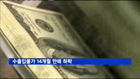 수출입물가 14개월 만에 하락