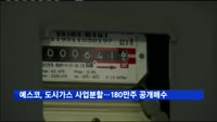예스코, 도시가스 사업분할…180만주 공개 매수