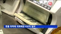 환율 하락에 외화예금 830억 달러 '역대 최대'