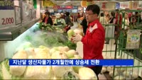 지난달 생산자물가 2개월만에 상승세 전환