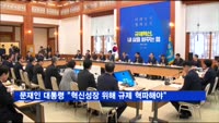 문재인 대통령 "혁신성장 위해 규제 혁파해야"
