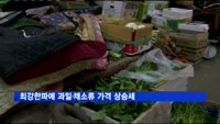 최강한파에 과일·채소류 가격 상승세
