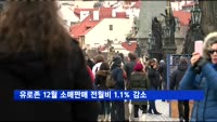 유로존 12월 소매판매 전월비 1.1% 감소