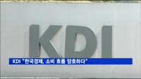 KDI "한국경제, 소비 흐름 양호하다"