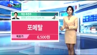 [오늘 뭐사지 1부]증권사, 객장 추천 종목