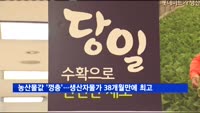 농산물값 '껑충'…생산자물가 38개월 만에 최고