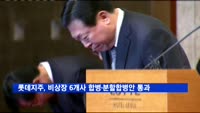 롯데지주, 비상장 6개사 합병·분할합병안 통과