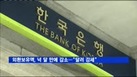 외환보유액, 넉 달 만에 감소…"달러 강세 영향"