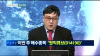 [남다른 대결 1대 10]원익큐브(014190)
