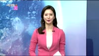 [매일 장보는 남녀]씨트리(047920)
