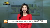 [종목 빅데이터]포스코대우(047050)