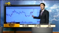 [종목상담]엘앤에프(066970)