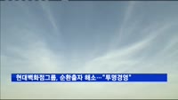 현대백화점그룹, 순환출자 해소…"투명 지배구조 확립"