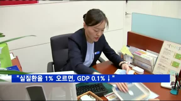 국회예산정책처 "실질환율 1% 오르면, GDP 0.1%↓"