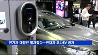 전기차 대향연 펼쳐졌다…현대차 코나EV 등 공개