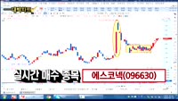 [김용환의 대박차트]에스코넥(096630),파나진(046210)