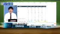 [종목상담] 한화케미칼(009830)