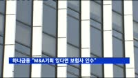 하나금융 "M&A기회 있다면 보험사 인수"