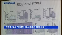 "강황, 간 기능 회복 효과"…카레·향신료 국제 심포지엄 '주목'