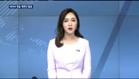 네이버 댓글 개편안·속도 내는 GM-정부 협상