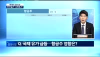 [투데이 잇(it)슈]한진가 날개 전망은?
