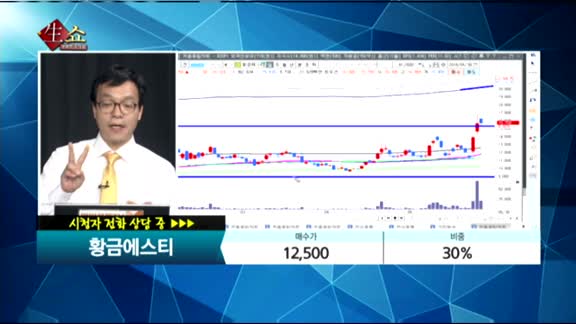 [종목상담]황금에스티(032560 )