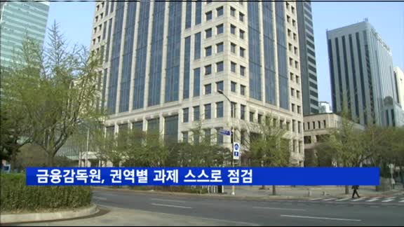 금융감독원, 내부감사협의제로 권역별 점검과제 선정