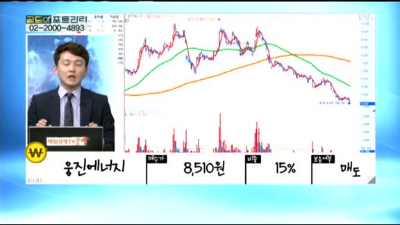 [골드의 포트관리] 주식투자 2~3년 차 투자자 포트폴리오