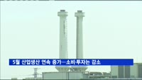 5월 산업생산 연속 증가…소비·투자는 감소