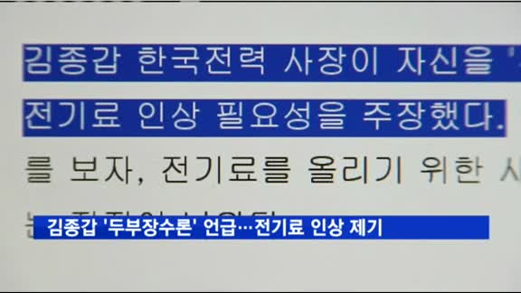 김종갑 사장 '두부장수론' 언급…전기료 인상 제기