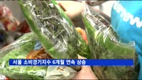 서울 소비경기지수 6개월 연속 상승