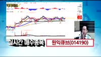 [김용환의 대박차트]실시간 매수 종목 : 원익큐브(014190),와이지엔터테인먼트(122870)